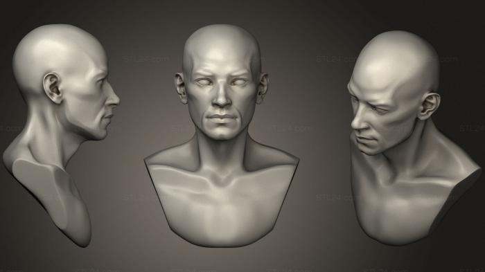 Anatomy of skeletons and skulls (Male head 2, ANTM_1526) 3D models for cnc