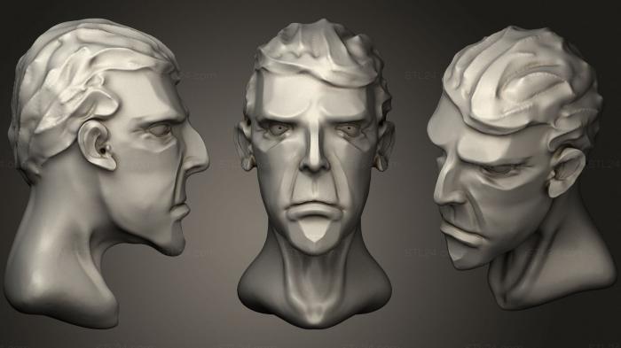 Анатомия скелеты и черепа (Мужская Голова 3, ANTM_1527) 3D модель для ЧПУ станка