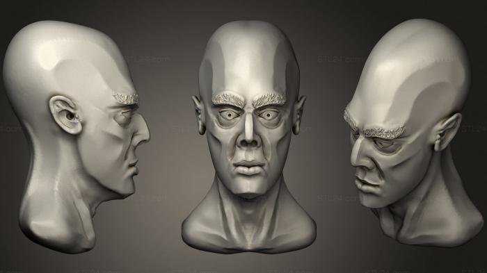 Анатомия скелеты и черепа (Мужская Голова 4, ANTM_1528) 3D модель для ЧПУ станка