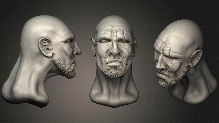 Anatomy of skeletons and skulls (Male Head 5, ANTM_1529) 3D models for cnc