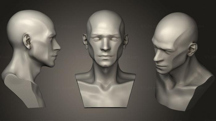 Анатомия скелеты и черепа (Мужская голова плоская 2, ANTM_1532) 3D модель для ЧПУ станка