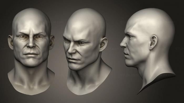 Анатомия скелеты и черепа (Скульптура мужской Головы 02, ANTM_1533) 3D модель для ЧПУ станка