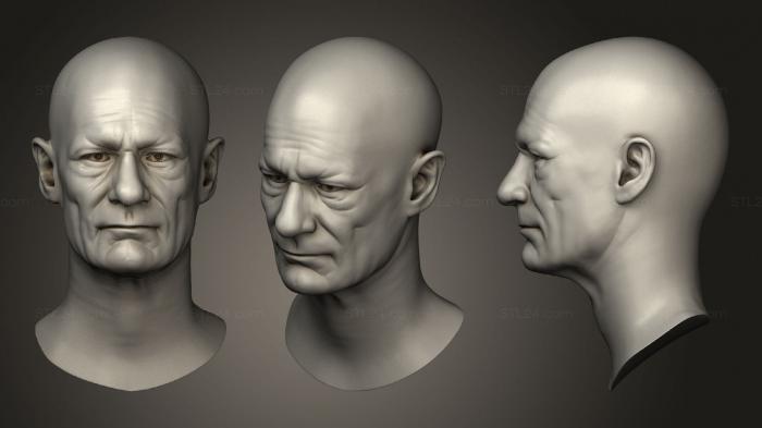 Анатомия скелеты и черепа (Скульптура мужской Головы 03, ANTM_1534) 3D модель для ЧПУ станка