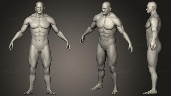 Анатомия скелеты и черепа (Мужское Человеческое Сильное Тело, ANTM_1540) 3D модель для ЧПУ станка