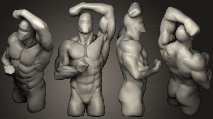Анатомия скелеты и черепа (Анатомия торса мужчины, ANTM_1547) 3D модель для ЧПУ станка