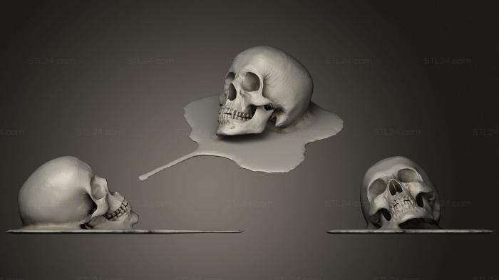Анатомия скелеты и черепа (Плавящийся Череп, ANTM_1549) 3D модель для ЧПУ станка