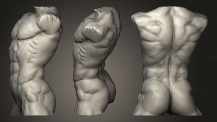Анатомия скелеты и черепа (Мускулистый Мужчина С Бюстом Культуриста, ANTM_1560) 3D модель для ЧПУ станка