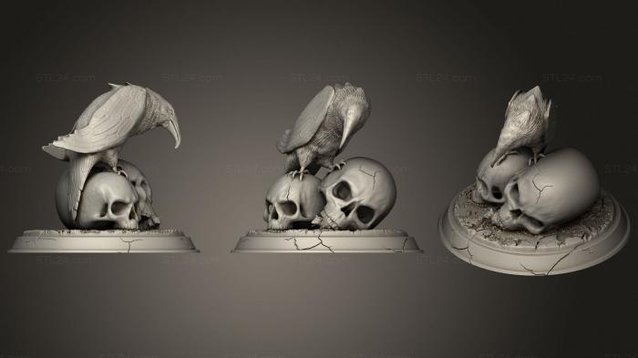 Анатомия скелеты и черепа (Череп ворона, ANTM_1588) 3D модель для ЧПУ станка