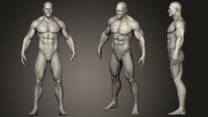 Anatomy of skeletons and skulls (Realistic Male Anatomy, ANTM_1591) 3D models for cnc
