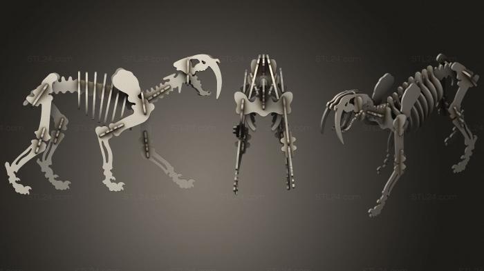 Анатомия скелеты и черепа (Саблезубый тигр, ANTM_1599) 3D модель для ЧПУ станка