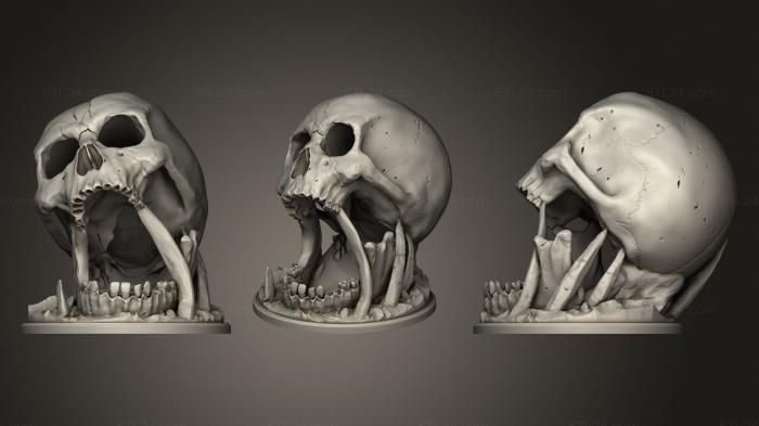 Anatomy of skeletons and skulls (Scull from the earth, ANTM_1604) 3D models for cnc