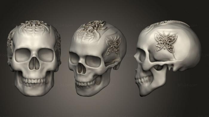 Анатомия скелеты и черепа (Лепить череп, ANTM_1606) 3D модель для ЧПУ станка