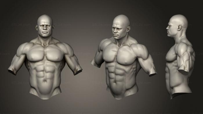 Анатомия скелеты и черепа (Лепите мужское тело мускулистым, ANTM_1608) 3D модель для ЧПУ станка