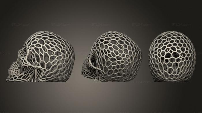 Анатомия скелеты и черепа (Череп (в стиле Вороного), ANTM_1628) 3D модель для ЧПУ станка