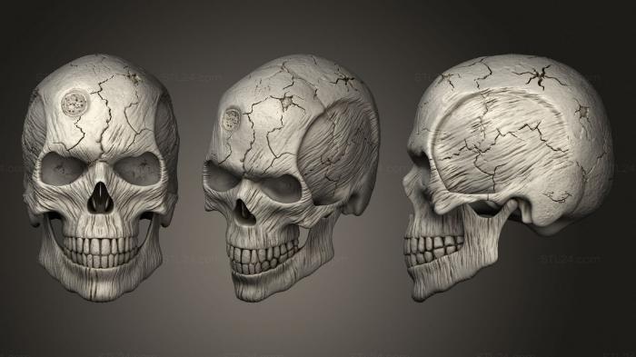 Anatomy of skeletons and skulls (Skull Anubis, ANTM_1634) 3D models for cnc