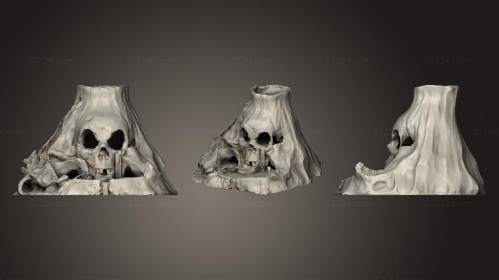 Anatomy of skeletons and skulls (Skull Island, ANTM_1646) 3D models for cnc