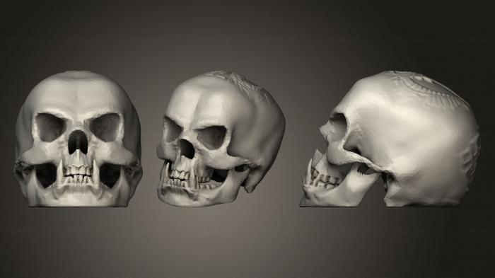 Анатомия скелеты и черепа (Череп орка с Тиснением полых Драконов, ANTM_1652) 3D модель для ЧПУ станка