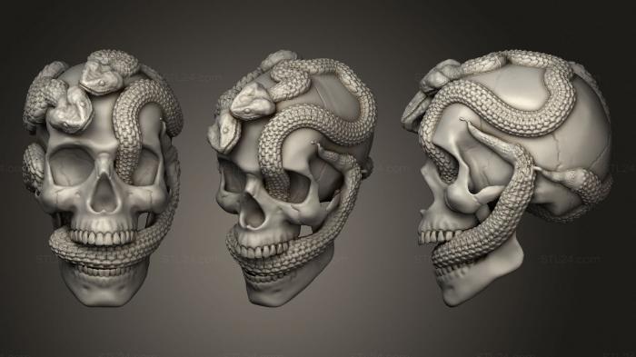 Анатомия скелеты и черепа (Череп со змеей, ANTM_1657) 3D модель для ЧПУ станка