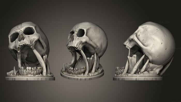 Анатомия скелеты и черепа (Башня Черепа С Выдолбленным Низким Разрешением v3, ANTM_1658) 3D модель для ЧПУ станка