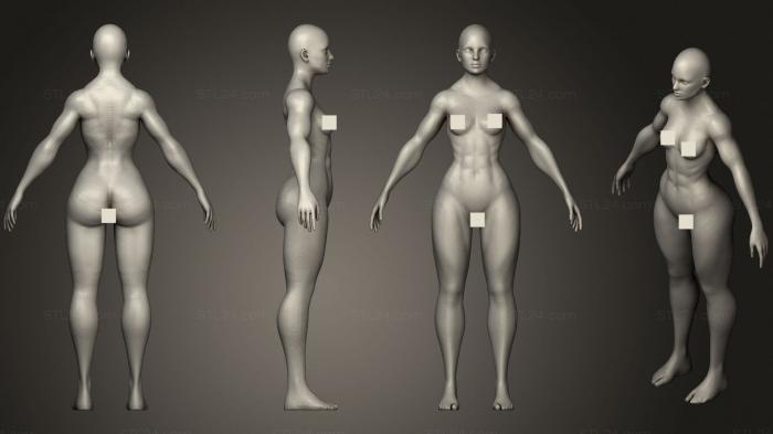 Anatomy of skeletons and skulls (Strong Female Base Mesh, ANTM_1676) 3D models for cnc