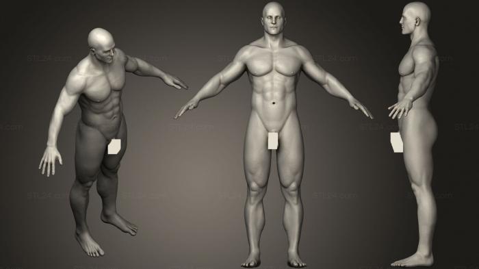 Анатомия скелеты и черепа (Изучайте Мужскую Скульптуру Человека, ANTM_1679) 3D модель для ЧПУ станка