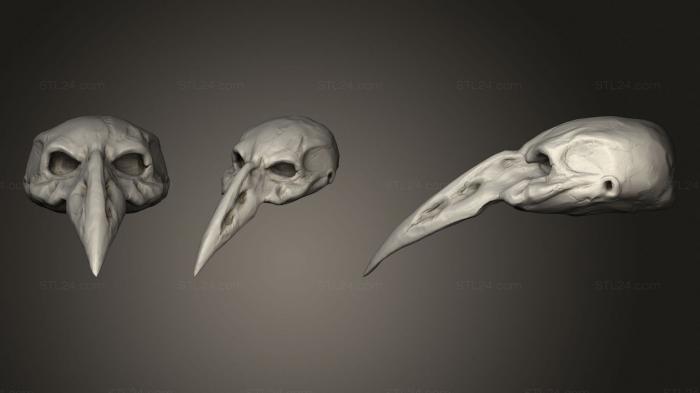 Anatomy of skeletons and skulls (Stylized Skull, ANTM_1681) 3D models for cnc