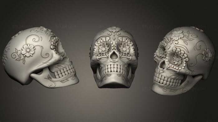 Anatomy of skeletons and skulls (Sugarskull, ANTM_1683) 3D models for cnc