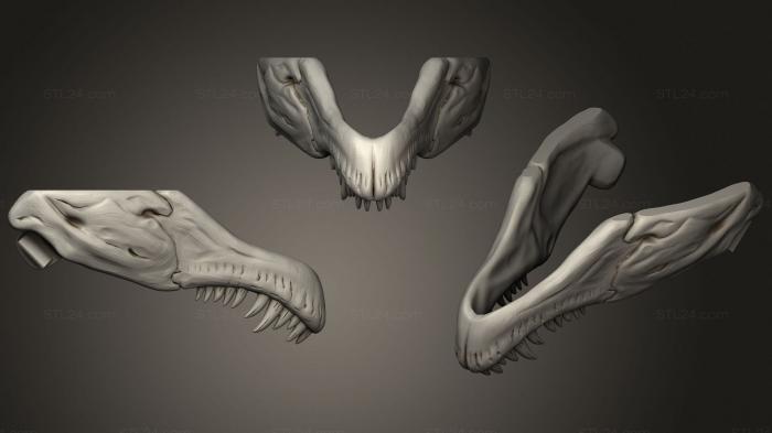 Anatomy of skeletons and skulls (T Rex Skull, ANTM_1702) 3D models for cnc