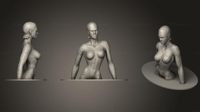 Anatomy of skeletons and skulls (Upper body with base, ANTM_1703) 3D models for cnc