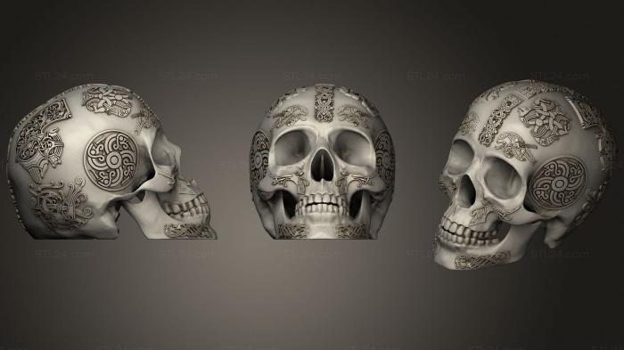 Анатомия скелеты и черепа (Череп викинга 2, ANTM_1704) 3D модель для ЧПУ станка