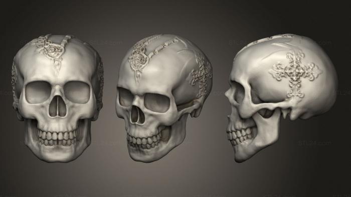 Анатомия скелеты и черепа (Череп викинга, ANTM_1705) 3D модель для ЧПУ станка