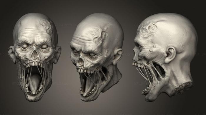 Anatomy of skeletons and skulls (Zombie Head, ANTM_1712) 3D models for cnc