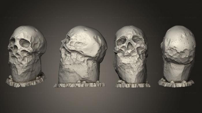 Анатомия скелеты и черепа (Предгигантские Камни-Черепа 01, ANTM_1748) 3D модель для ЧПУ станка