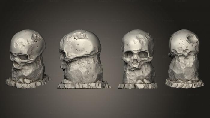 Анатомия скелеты и черепа (Предгигантские Камни-Черепа 02, ANTM_1749) 3D модель для ЧПУ станка
