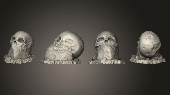 Анатомия скелеты и черепа (Предгигантские Камни - Черепа 04, ANTM_1751) 3D модель для ЧПУ станка