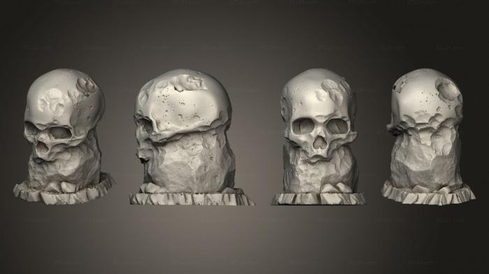 Анатомия скелеты и черепа (Предгигантские Камни - Черепа 06, ANTM_1753) 3D модель для ЧПУ станка