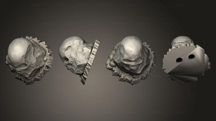 Анатомия скелеты и черепа (Предгигантские Камни - Черепа 07, ANTM_1754) 3D модель для ЧПУ станка