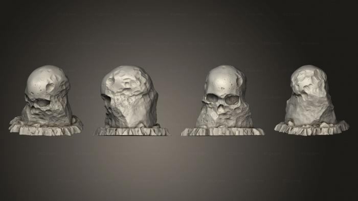 Анатомия скелеты и черепа (Предгигантские Камни-Черепа 09, ANTM_1756) 3D модель для ЧПУ станка