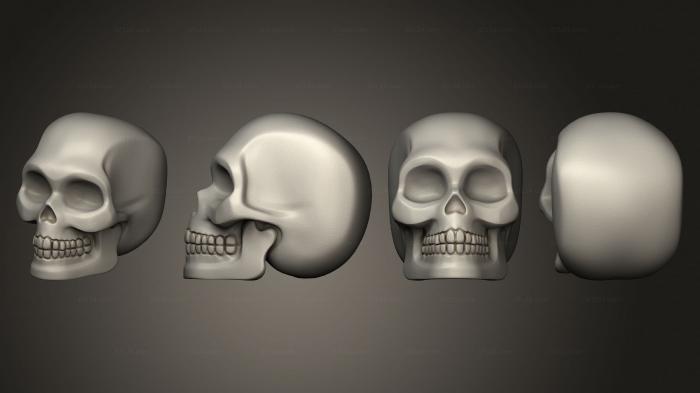 Anatomy of skeletons and skulls (scull 01, ANTM_1757) 3D models for cnc
