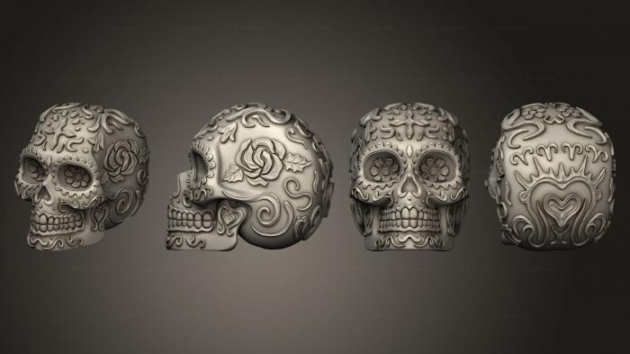 Anatomy of skeletons and skulls (scull 02, ANTM_1758) 3D models for cnc