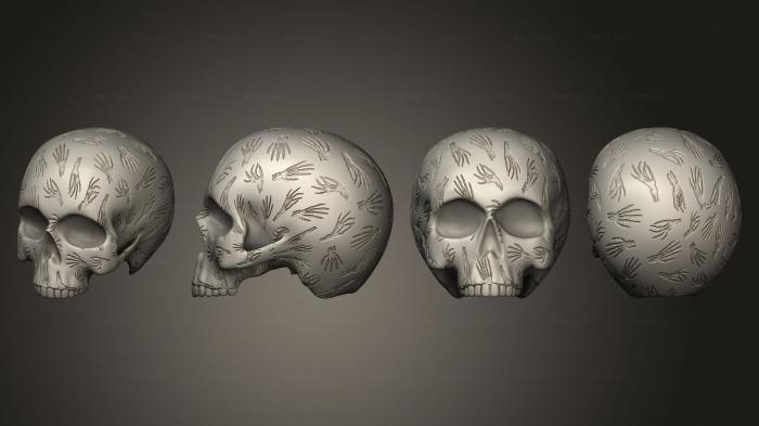 Анатомия скелеты и черепа (Скелет Руки Череп Целиком v 2, ANTM_1762) 3D модель для ЧПУ станка