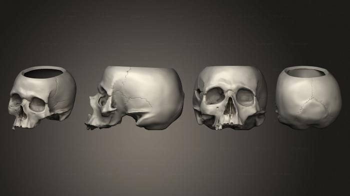 Анатомия скелеты и черепа (Коробка для черепа, ANTM_1763) 3D модель для ЧПУ станка