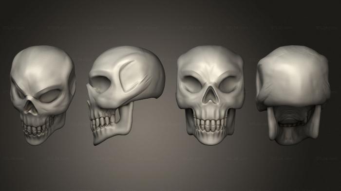 Anatomy of skeletons and skulls (Skulls Jaw 1, ANTM_1767) 3D models for cnc
