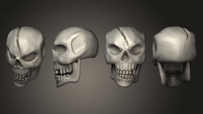 Anatomy of skeletons and skulls (Skulls Jaw 4, ANTM_1769) 3D models for cnc
