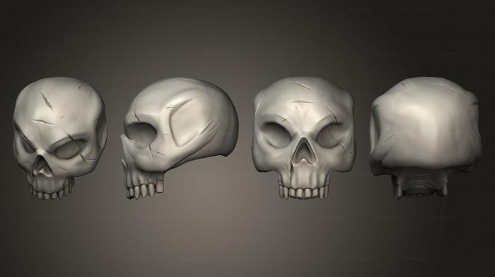 Анатомия скелеты и черепа (Черепа Череп 2, ANTM_1771) 3D модель для ЧПУ станка