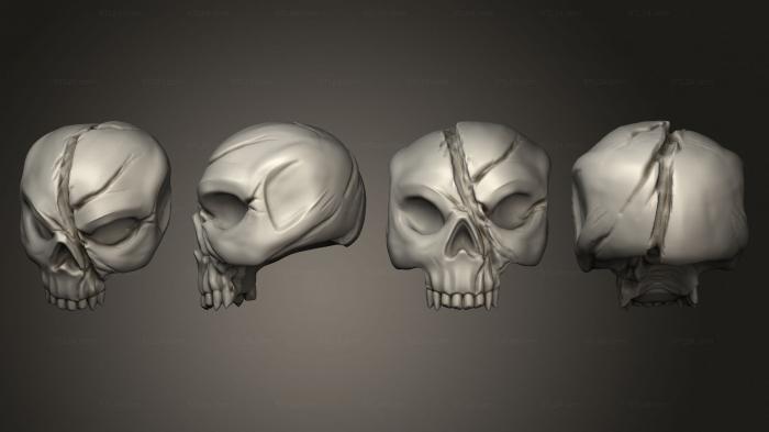 Anatomy of skeletons and skulls (Skulls Skull 4, ANTM_1773) 3D models for cnc