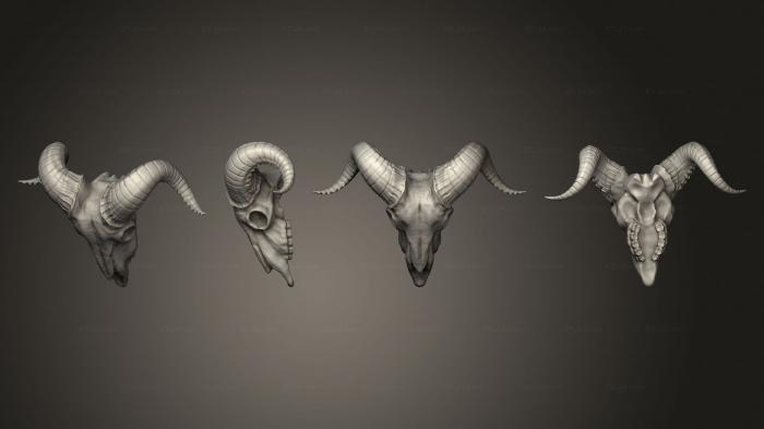 Анатомия скелеты и черепа (Черепа Стрейч Голов, Том 2, козий череп, ANTM_1776) 3D модель для ЧПУ станка