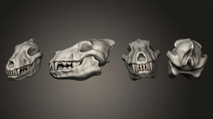Анатомия скелеты и черепа (Stretch Goals Skulls Том 2 череп варга, ANTM_1777) 3D модель для ЧПУ станка