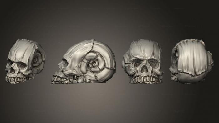 Анатомия скелеты и черепа (Отравление Элементальных Существ, Капающая улитка 003, ANTM_1785) 3D модель для ЧПУ станка