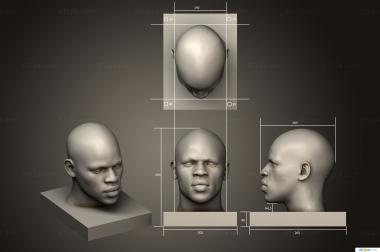 Anatomy of skeletons and skulls (New version ANTM0280 version1, ANTM_1788) 3D models for cnc